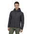 Patagonia 2022 Down Sweater Hoody