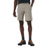 Dynamic Lite Shorts