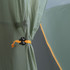 Nemo Dragonfly OSMO Bikepack 1P Tent 
