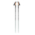 Black Diamond Pursuit FLZ Trekking Poles 