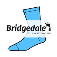 Bridgedale Socks