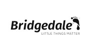 Bridgedale Logo