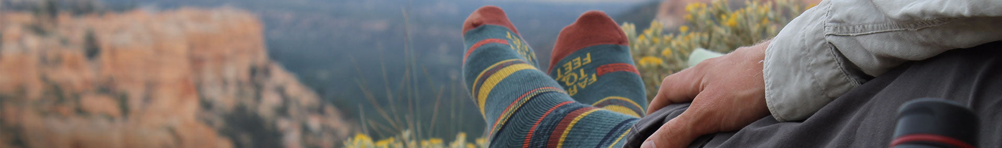 Farm to Feet Banner