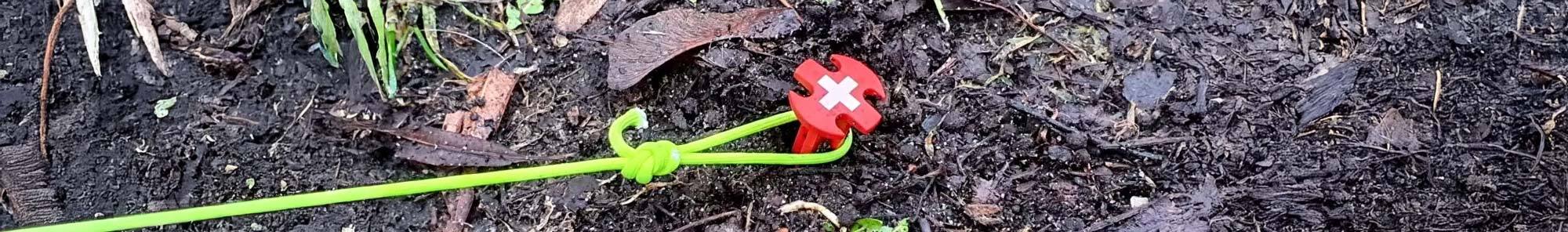 Swisspiranha