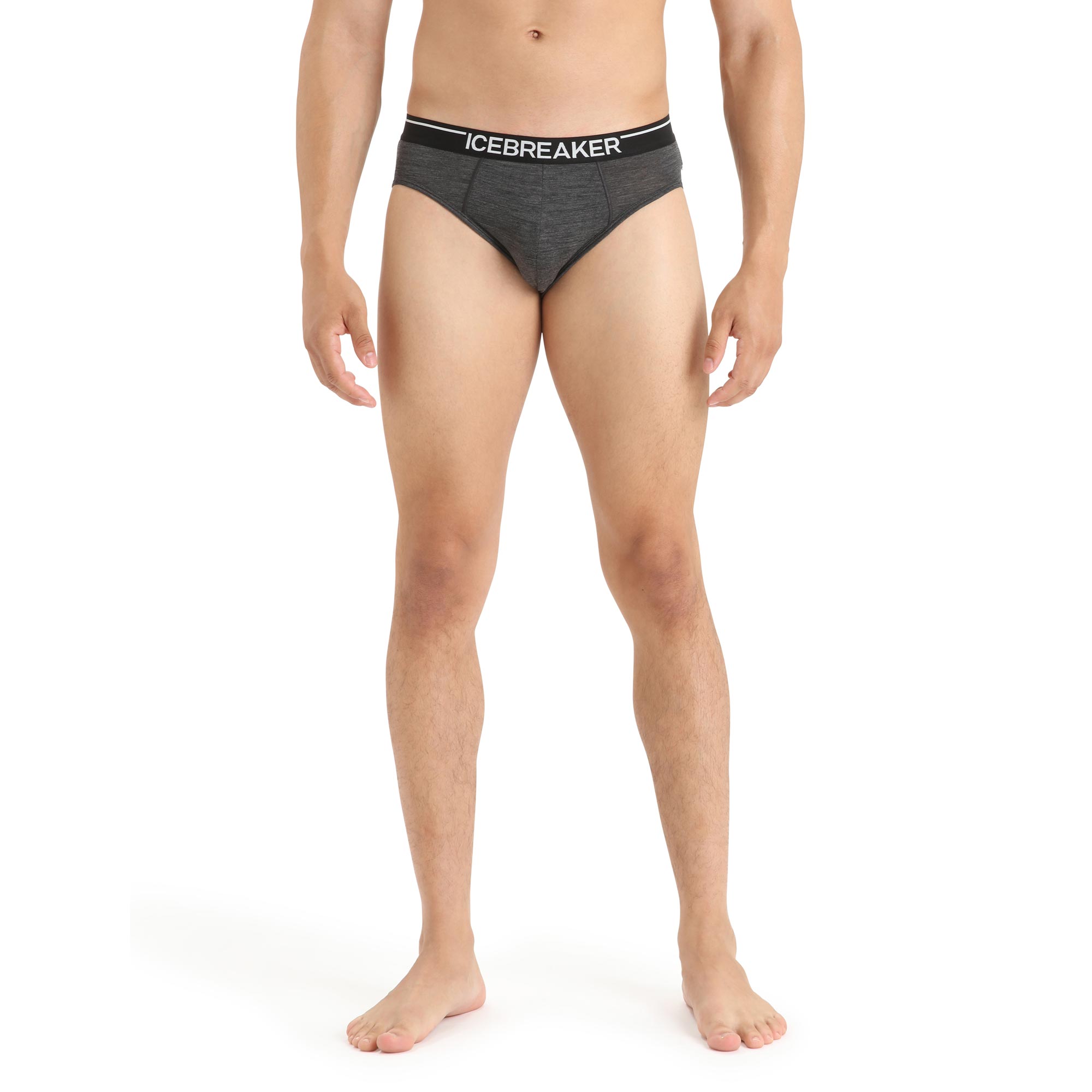 Briefs Icebreaker anatomica briefs