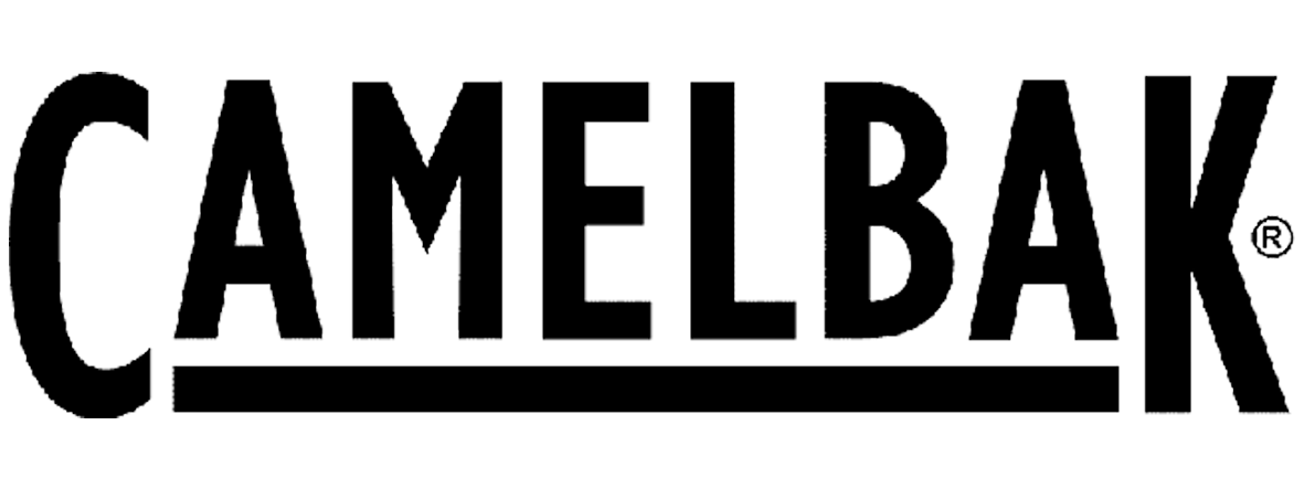 Blue Ice Brand Logo