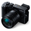 Lumix G Vario 12-60mm f/3.5-5.6 ASPH. POWER O.I.S. Lens H-FS12060
