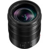 Panasonic Leica DG Vario-Elmarit 12-60mm f/2.8-4 ASPH. POWER O.I.S. Lens (HES12060E)