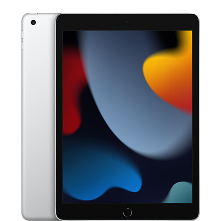Apple iPad 10.2 (2021) 256GB Wifi (Silver) MK2P3LL/A