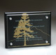 Black Glass Plaque w/ Glass