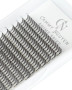 .05 Anime Spikes