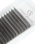 .05 Anime Spikes