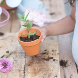 little_dutch_vaso_sementes_nao_me_esquecas003