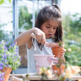 little_dutch_balde_fairy_garden004