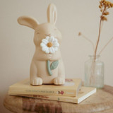 little_dutch_luz_presenca_coelho005