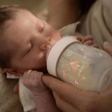 little_dutch_mepal_biberao_165ml_fairy_garden008