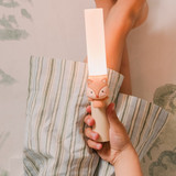 the_zoo_family_lanterna_zoo_light_raposa004