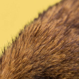 jellycat_peluche_coelhinho_hoppleston_luxe002