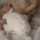 moonie_foca_luz_ruido_rosa_polar003