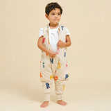 molis_fato_dormir_abc002