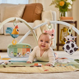 tiny_love_tapete_atividades_farmers_funday009