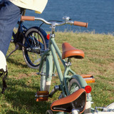 banwood_bicicleta_classica_forest002