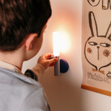 the_zoo_lanterna_zoo_light_guaxinim001