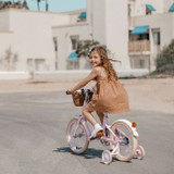 Banwood Bicicleta Clássica Rosa +4 Anos bw-cl-pink