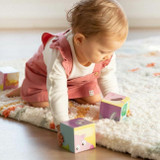 Goula 4 Cubos Animais da Quinta +2 Anos 53467