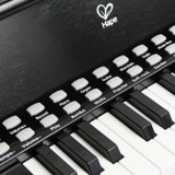 Hape Piano Aprende com Luzes +3 Anos E0627