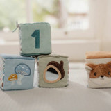 Little Dutch 4 Cubos de Atividades Forest Friends +0M LD8916