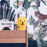 Mr. Maria Candeeiro A Minha Primeira Luz Leão