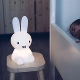 Mr. Maria Candeeiro A Minha Primeira Luz Miffy