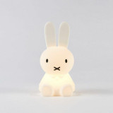 Mr. Maria Candeeiro A Minha Primeira Luz Miffy