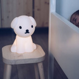 Mr. Maria Candeeiro A Minha Primeira Luz Snuffy