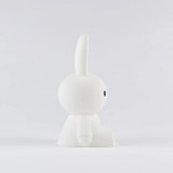 mr_maria_luz_presenca_miffy006