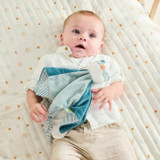 Nattou Doudou Texugo Felix 27x27 +0M 11595100
