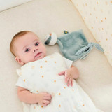 Nattou Doudou Texugo Felix 30x30 +0M 11595087