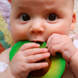 oli_carol_mordedor_abacate_arnold004