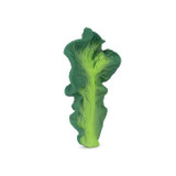 oli_carol_mordedor_couve_kendall002