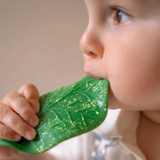 Oli&Carol Mordedor Folha de Clorofila L-CHLOROPHYLL-LEAF