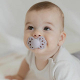 BIBS 2 Chupetas Infinity Silicone Simétrica Blossom/Dusky Lilac 6-18M