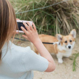 The Zoo Family Máquina Fotográfica Urban Zoo Unicórnio +3 Anos