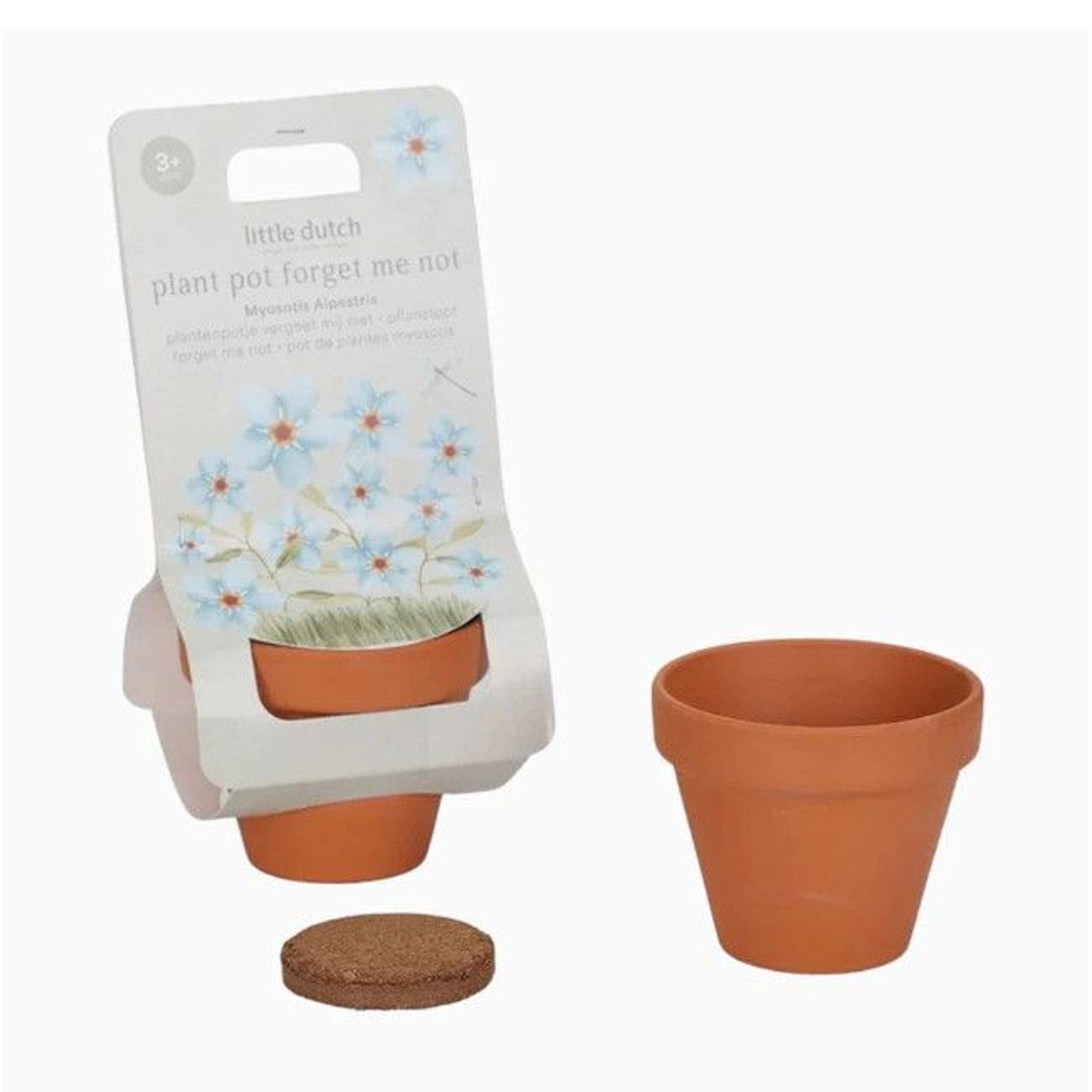 Little Dutch Pot & Forget-Me-Not Seeds +3Y LD9132