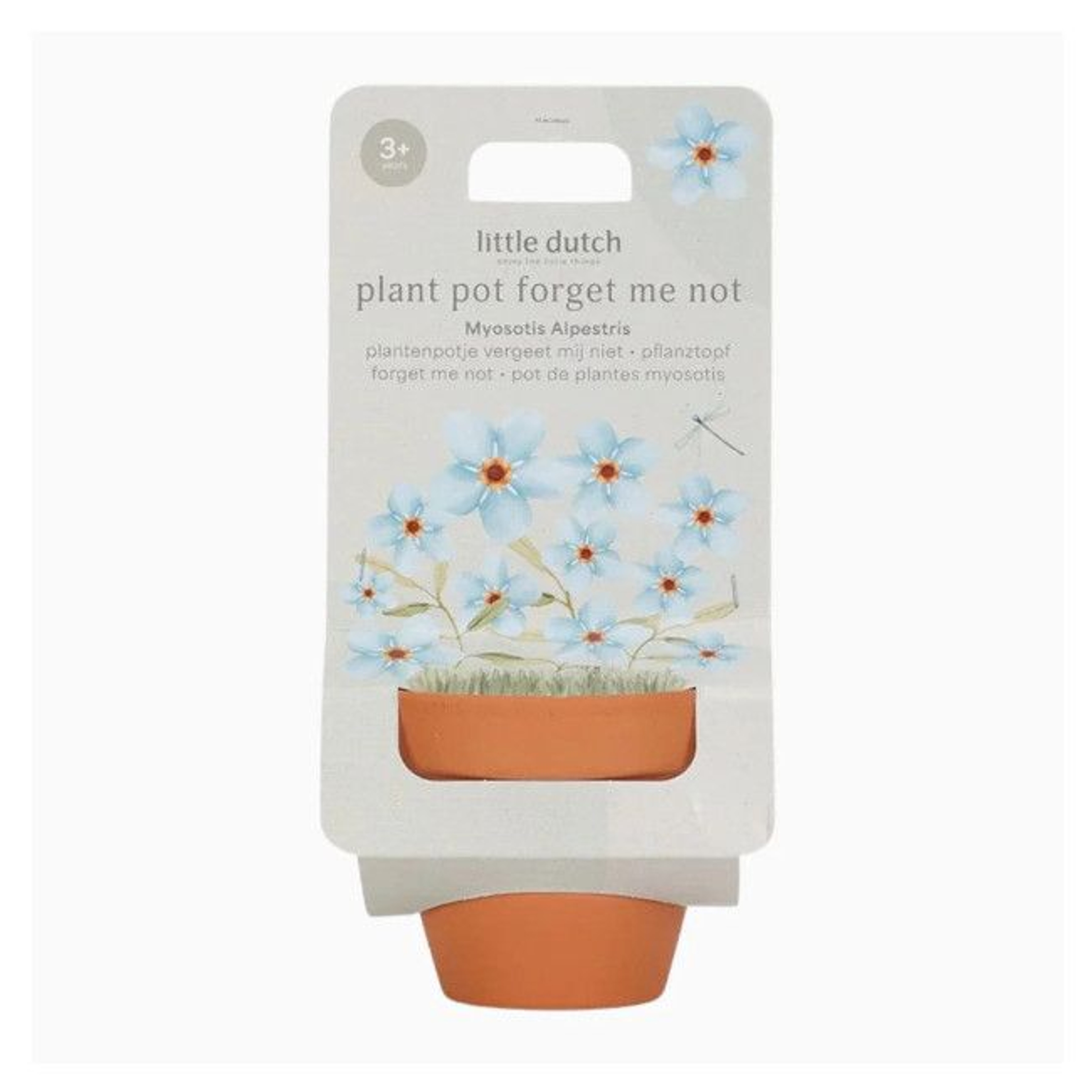 little_dutch_vaso_sementes_nao_me_esquecas001