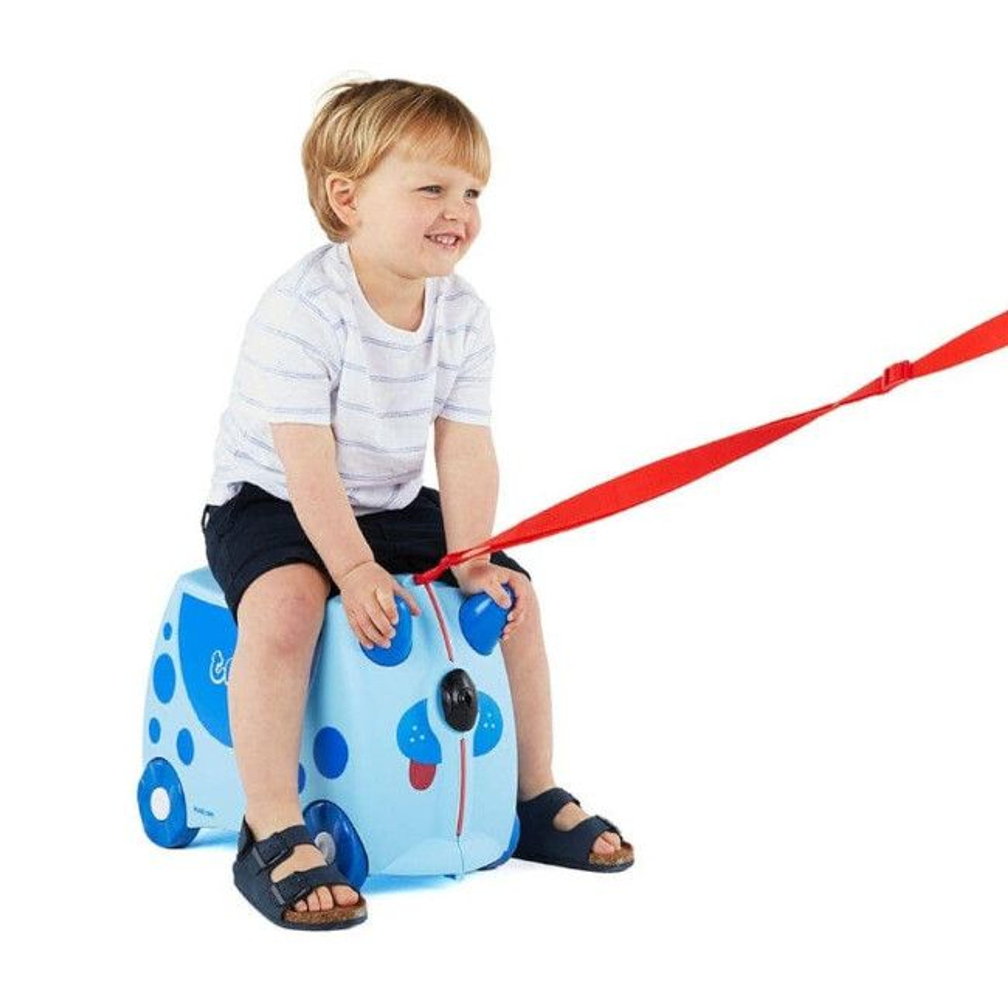 trunki_mala_viagem_rodas_cao_doug004
