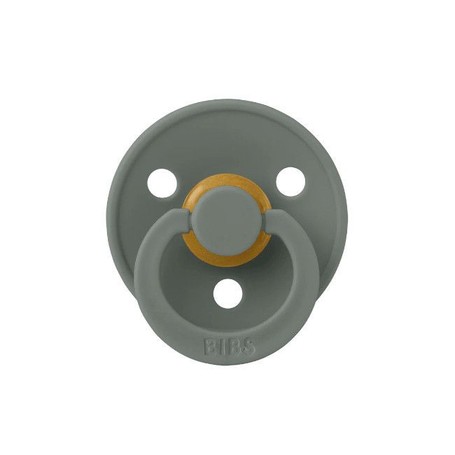 bibs_2_chupetas_colour_pine_cornflower004