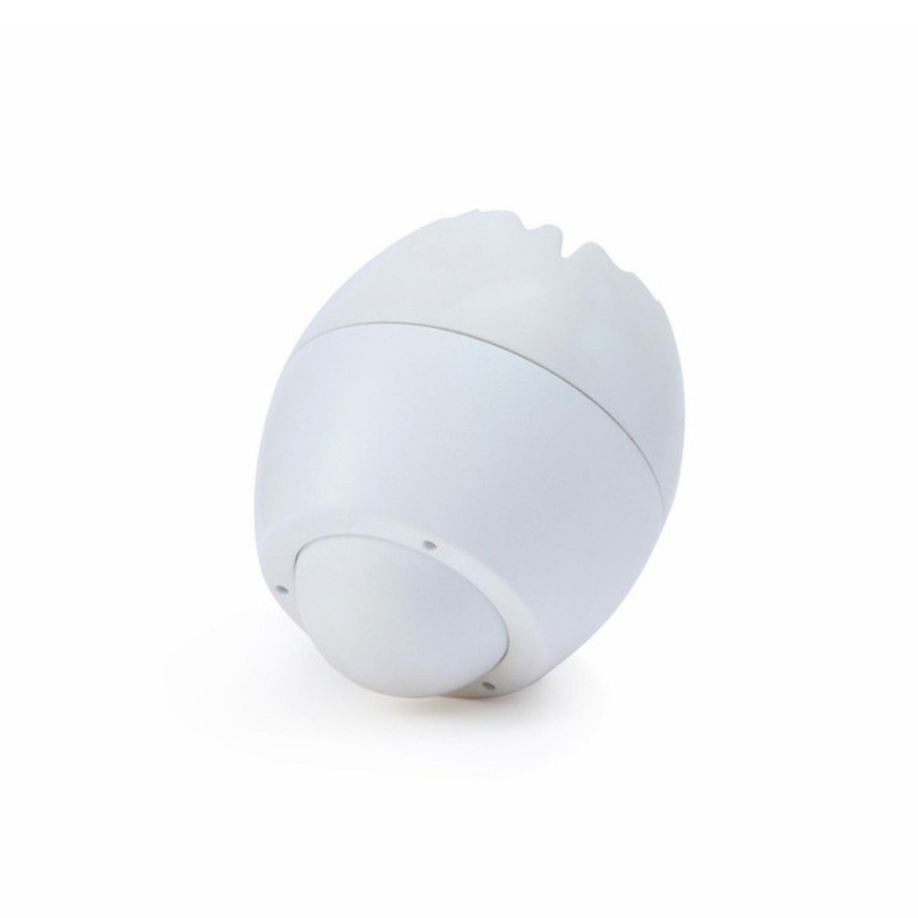 hape_ovinho_sempre_pe_roll_n_hatch010