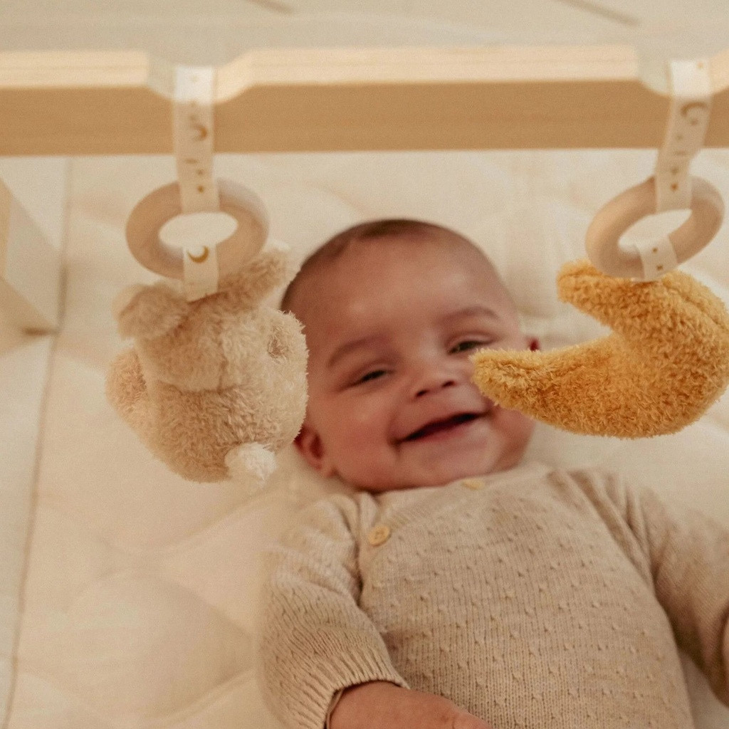 little_dutch_ginasio_atividades_newborn_naturals002