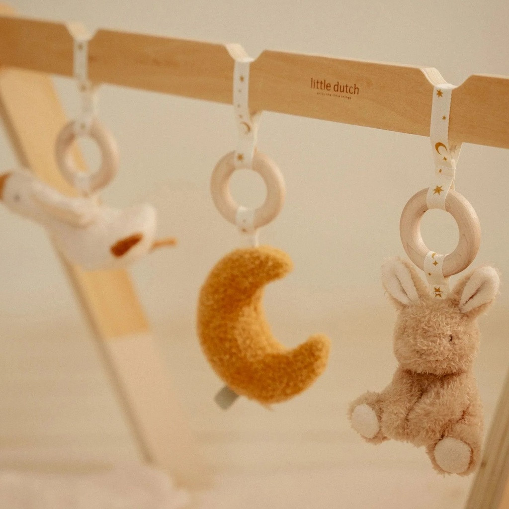 little_dutch_ginasio_atividades_newborn_naturals004